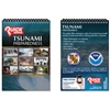 Tsunami Preparedness Guide