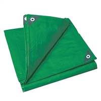 Triage Tarp Green